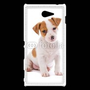 Coque Sony Xperia M2 Jack russel terrier puppy 800