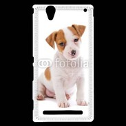 Coque Sony Xperia T2 Ultra Jack russel terrier puppy 800