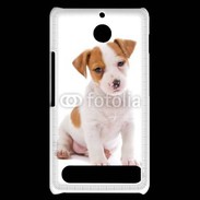 Coque Sony Xperia E1 Jack russel terrier puppy 800