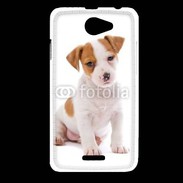 Coque HTC Desire 516 Jack russel terrier puppy 800