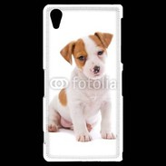 Coque Sony Xperia Z2 Jack russel terrier puppy 800