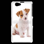 Coque Sony Xperia Z1 Compact Jack russel terrier puppy 800