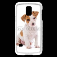 Coque Samsung Galaxy S5 Mini Jack russel terrier puppy 800
