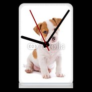 Pendule de bureau Jack russel terrier puppy 800