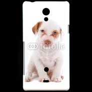 Coque Sony Xperia T Jack russel terrier puppy 810