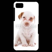 Coque Blackberry Z10 Jack russel terrier puppy 810