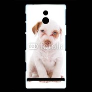 Coque Sony Xperia P Jack russel terrier puppy 810