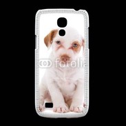 Coque Samsung Galaxy S4mini Jack russel terrier puppy 810