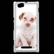 Coque Sony Xperia M Jack russel terrier puppy 810