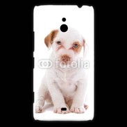 Coque Nokia Lumia 1320 Jack russel terrier puppy 810