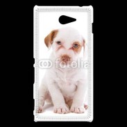 Coque Sony Xperia M2 Jack russel terrier puppy 810
