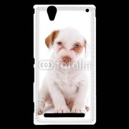 Coque Sony Xperia T2 Ultra Jack russel terrier puppy 810
