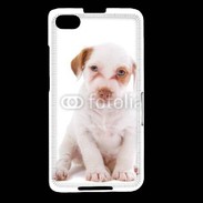 Coque Blackberry Z30 Jack russel terrier puppy 810