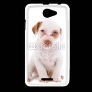 Coque HTC Desire 516 Jack russel terrier puppy 810