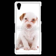 Coque Sony Xperia Z2 Jack russel terrier puppy 810