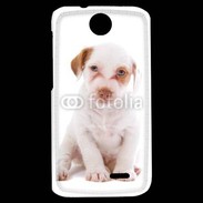 Coque HTC Desire 310 Jack russel terrier puppy 810