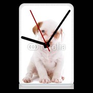 Pendule de bureau Jack russel terrier puppy 810