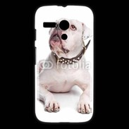 Coque Motorola G Bulldog Américain 600