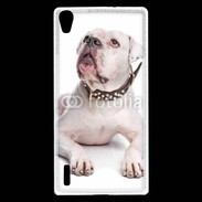 Coque Huawei Ascend P7 Bulldog Américain 600