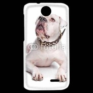 Coque HTC Desire 310 Bulldog Américain 600