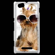 Coque Sony Xperia M Yorkshire terrier avec lunettes 600