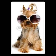 Etui carte bancaire Yorkshire terrier avec lunettes 600