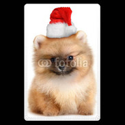 Etui carte bancaire Chiot de noël 800