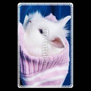 Etui carte bancaire Lapin et bonnet 500