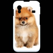 Coque Samsung ACE S5830 Spitz Dog 800