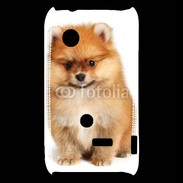 Coque Sony Xperia Typo Spitz Dog 800