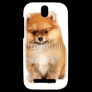 Coque HTC One SV Spitz Dog 800