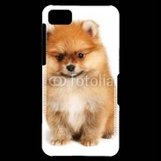 Coque Blackberry Z10 Spitz Dog 800