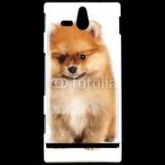 Coque Sony Xperia U Spitz Dog 800