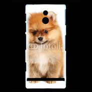 Coque Sony Xperia P Spitz Dog 800