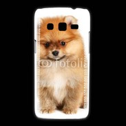Coque Samsung Galaxy Express2 Spitz Dog 800