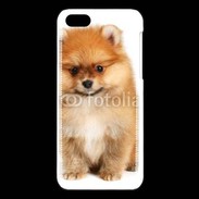 Coque iPhone 5C Spitz Dog 800