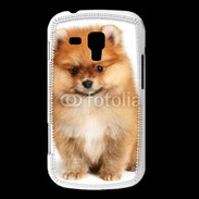 Coque Samsung Galaxy Trend Spitz Dog 800