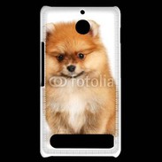 Coque Sony Xperia E1 Spitz Dog 800
