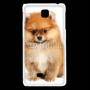 Coque LG F5 Spitz Dog 800