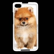 Coque Blackberry Z30 Spitz Dog 800