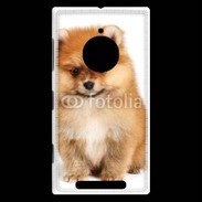 Coque Nokia Lumia 830 Spitz Dog 800