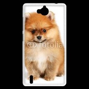 Coque Huawei Ascend G740 Spitz Dog 800