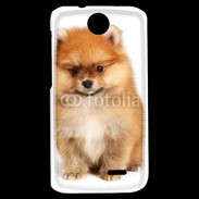 Coque HTC Desire 310 Spitz Dog 800