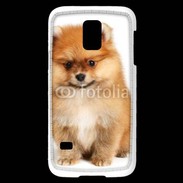 Coque Samsung Galaxy S5 Mini Spitz Dog 800