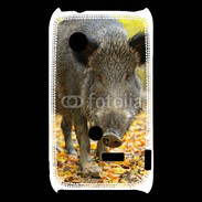 Coque Sony Xperia Typo Sanglier de face 50