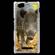 Coque Sony Xperia M Sanglier de face 50