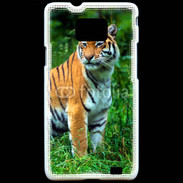Coque Samsung Galaxy S2 Tigre 810