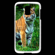Coque Samsung Galaxy S5 Mini Tigre 810