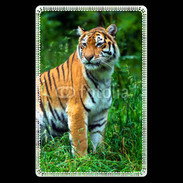 Etui carte bancaire Tigre 810