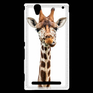 Coque Sony Xperia T2 Ultra Girafe Humour